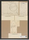 Cerataulus levis var. sinensis [sic] Grun. (de-Toni-Nr.: Genus 173, Species 4435) Zeichnungen Sammlung Grunow Nr. 8006 (NHMW-BOT-W0377303)